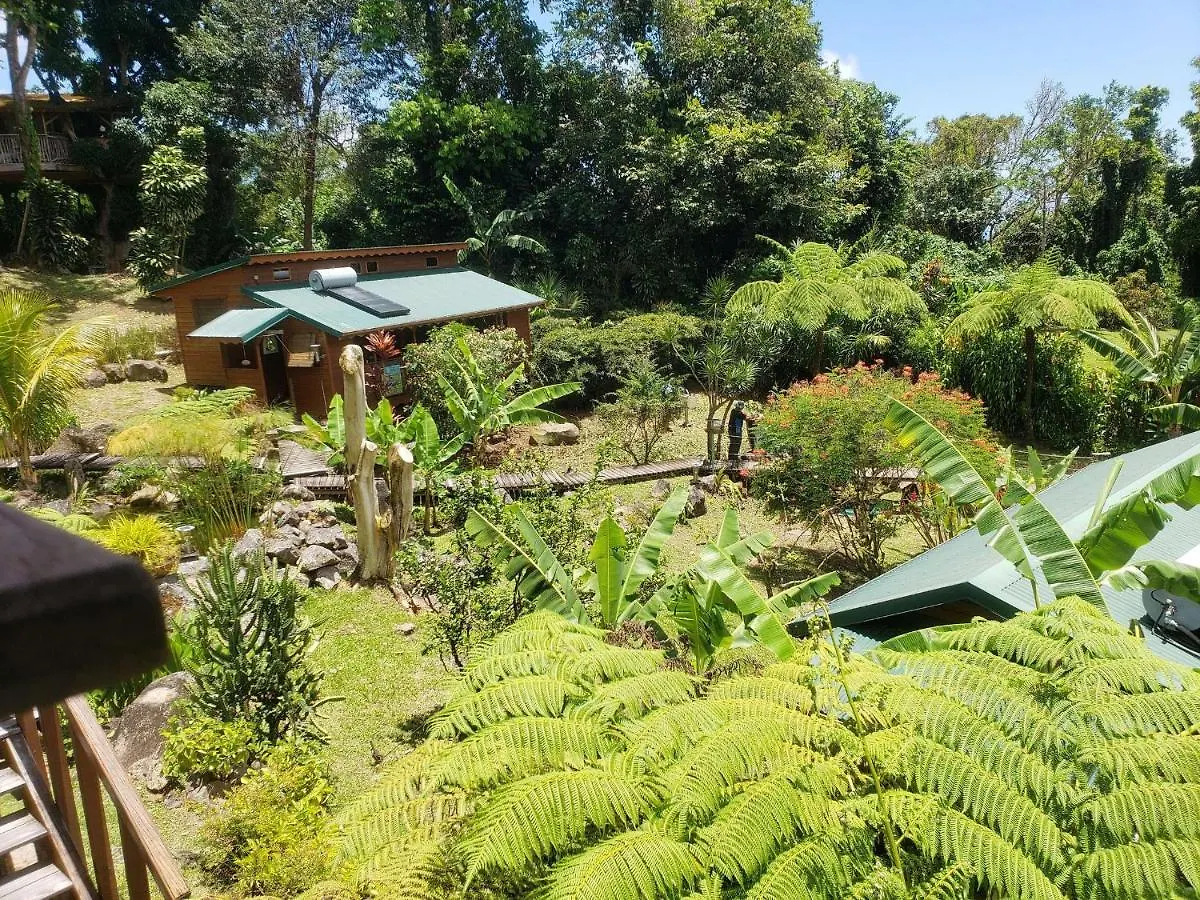Lodge Les Bananes Vertes Saint-Claude Guadeloupe