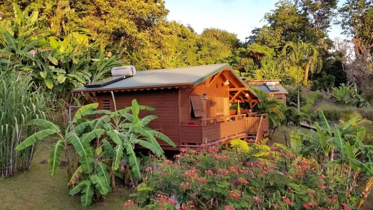 Les Bananes Vertes Saint-Claude Guadeloupe
